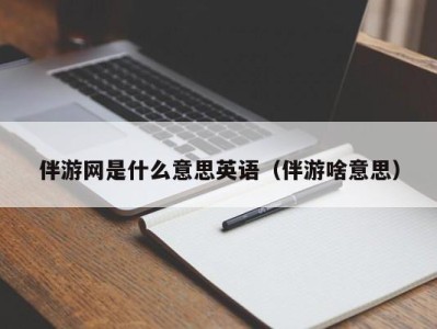 伴游网是什么意思英语（伴游啥意思）