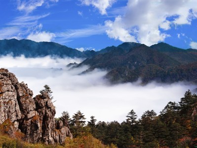 澳门神农架：秘境之旅，云海奇观，草原牧歌，探寻世外桃源